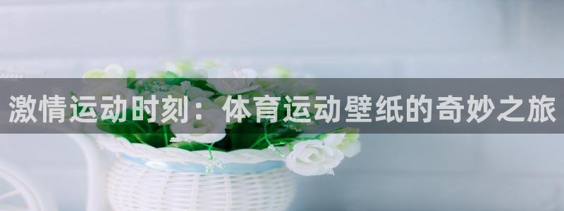 尊龙官网下载平台APP：激情运动时刻：体育运动壁纸的