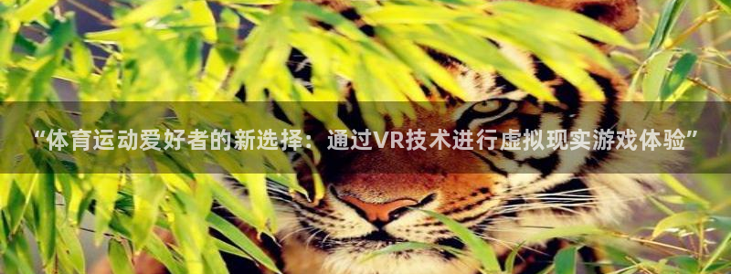 尊龙官网下载招商电话：“体育运动爱好者的新选择：通过