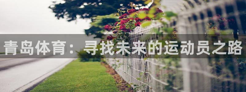 尊龙官方平台体育：青岛体育：寻找未来的运动员之路