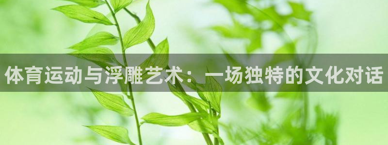 尊龙官网下载平台注册流程图：体育运动与浮雕艺术：一场