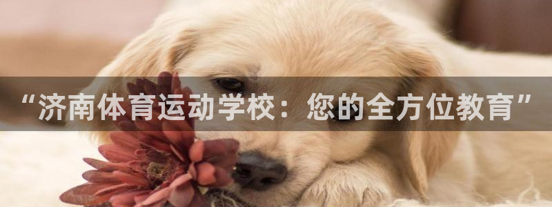 尊龙官方正版app娱乐40996：“济南体育运动学校