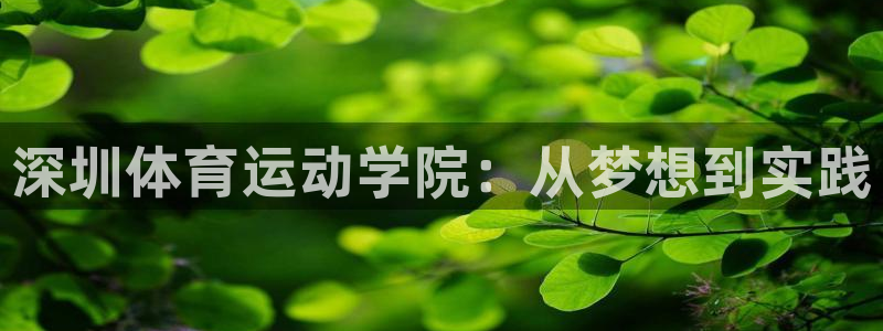 尊龙官方正版app娱乐下载：深圳体育运动学院：从梦想