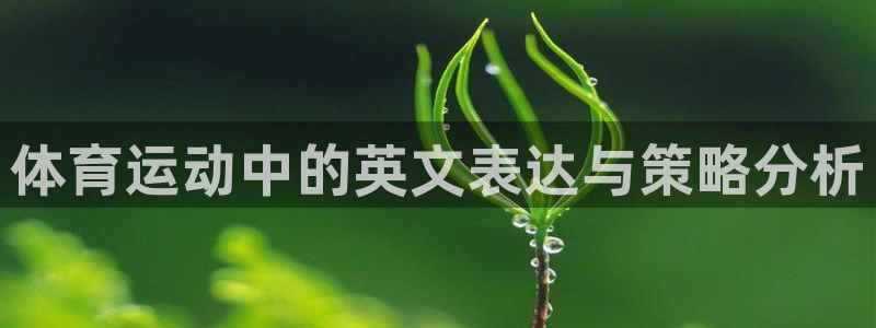 尊龙官网下载招商电话是多少啊：体育运动中的英文表达与策略分析