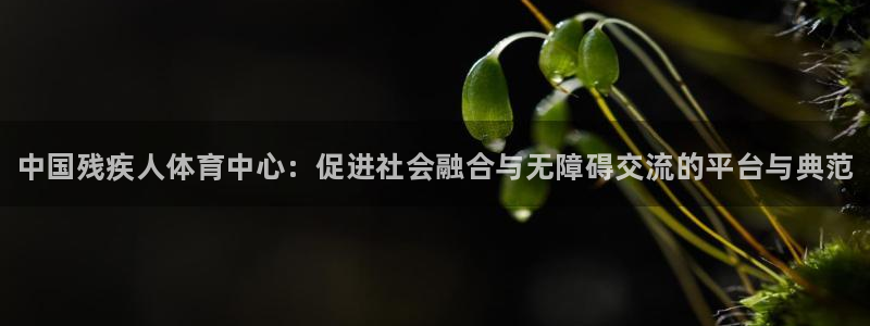 尊龙官方正版app娱乐首页网站大全：中国残疾人体育中