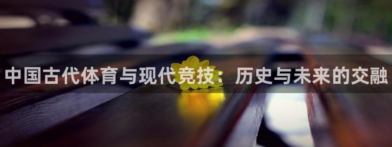 尊龙官方正版app官网