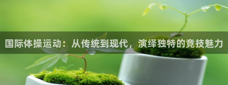 注册尊龙官方正版app：国际体操运动：从传统到现代，