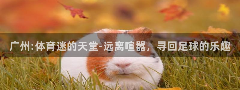 尊龙官网下载招商电话地址是多少：广州:体育迷的天堂-