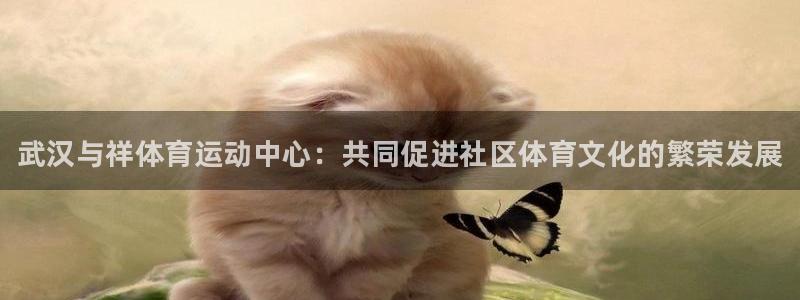 尊龙官网下载招商电话地址查询：武汉与祥体育运动中心：共同促进