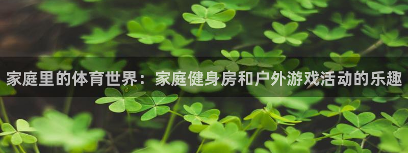 海南尊龙官网下载发展怎么样：家庭里的体育世界：家庭健身房和户