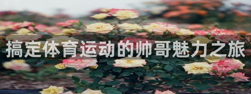 尊龙官方正版app娱乐首页官网下载：搞定体育运动的帅哥魅力之