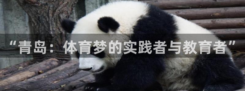 尊龙官网下载平台注册要钱吗安全吗：“青岛：体育梦的实践者与教