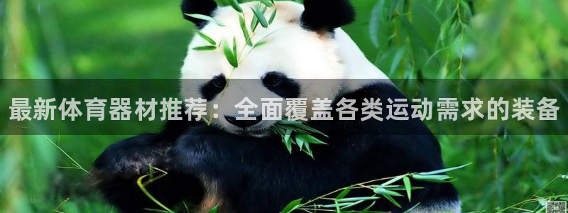 尊龙官网下载平台注册流程图：最新体育器材推荐：全面覆