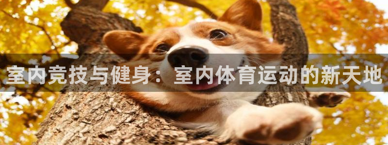 尊龙官方正版app娱乐下载:室内竞技与健身:室内体育运动的新