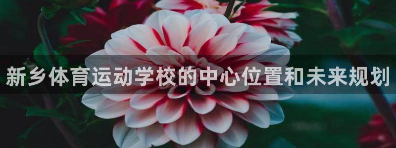 尊龙官方正版app娱乐平台：新乡体育运动学校的中心位