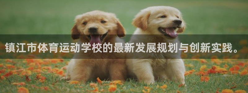 尊龙官网下载平台：镇江市体育运动学校的最新发展规划与