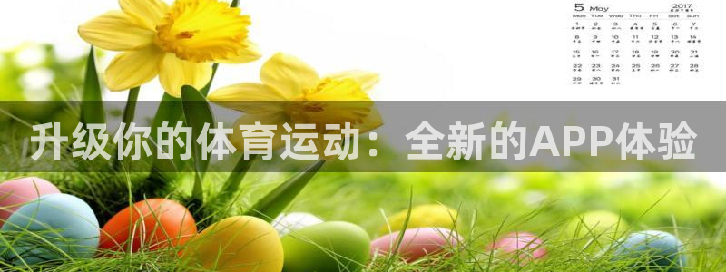 尊龙官方正版app集团：升级你的体育运动：全新的AP