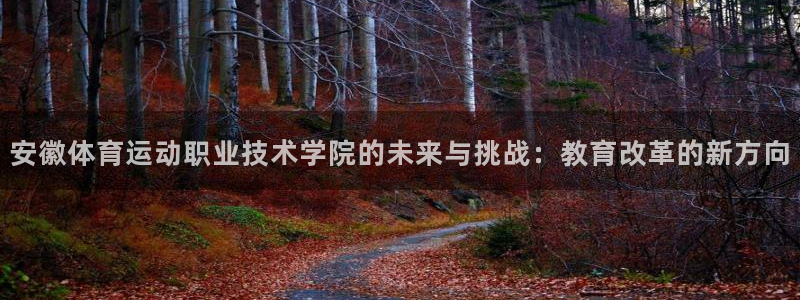 尊龙官网下载软件：安徽体育运动职业技术学院的未来与挑