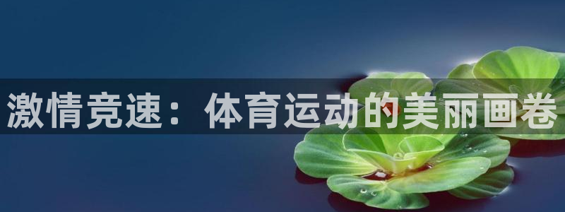 海南尊龙官网下载：激情竞速：体育运动的美丽画卷