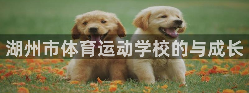 尊龙官网下载娱乐：湖州市体育运动学校的与成长