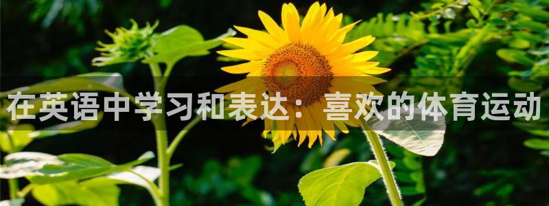 尊龙官方正版app神州：在英语中学习和表达：喜欢的体