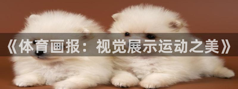 尊龙官方平台体育