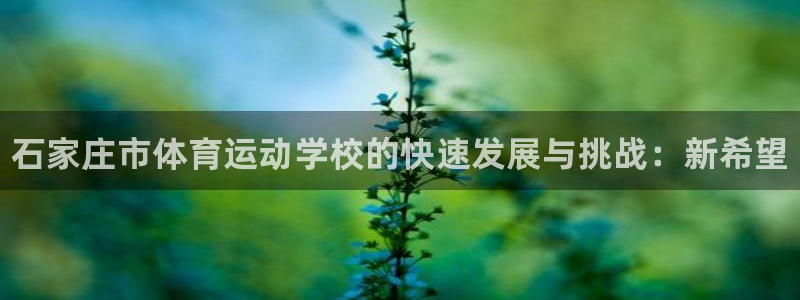 尊龙官网下载开户:石家庄市体育运动学校的快速发展与挑战:新希