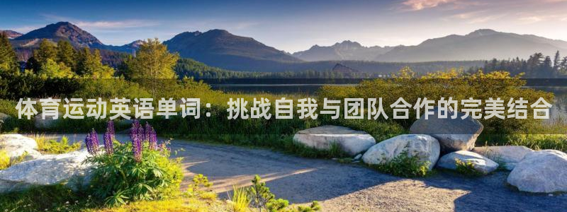 尊龙官方正版app娱乐平台：体育运动英语单词：挑战自