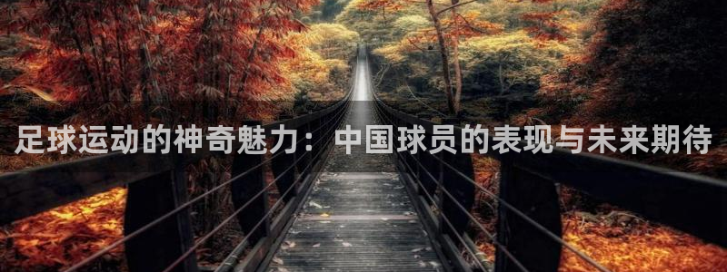 尊龙官方正版app娱乐40996:足球运动的神奇魅力:中国球