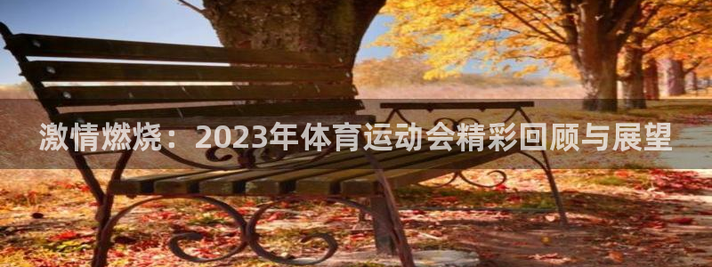 尊龙官网下载平台APP：激情燃烧：2023年体育运动会精彩回