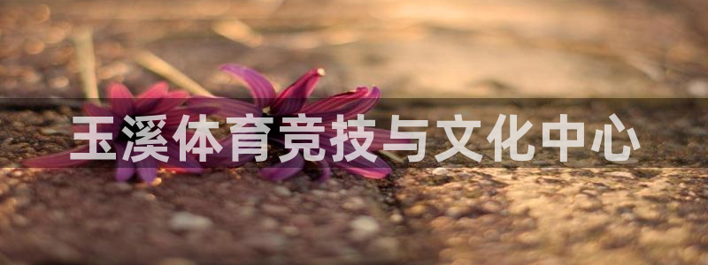 尊龙官方正版app集团：玉溪体育竞技与文化中心