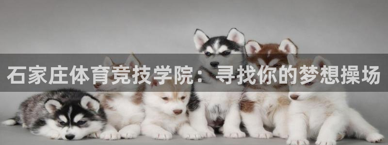 尊龙官方正版app娱乐下载：石家庄体育竞技学院：寻找你的梦想