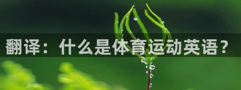 尊龙官方正版app娱乐是那个系列的台子：翻译：什么是