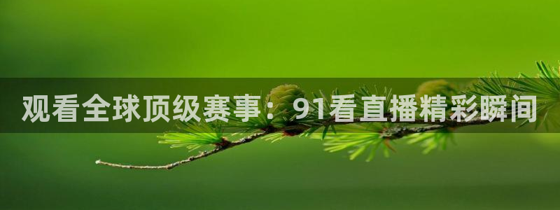 nba视频直播无插件看球吧：观看全球顶级赛事：91看直播精彩瞬间