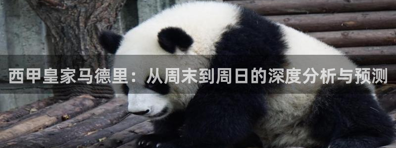 360免费直播超清 看球吧：西甲皇家马德里：从周末到周日的深度分析与预测