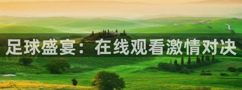 88看球吧直播nba：足球盛宴：在线观看激情对决