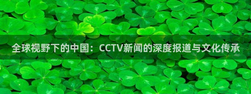 看球吧雨燕直播：全球视野下的中国：CCTV新闻的深度报道与文化传承
